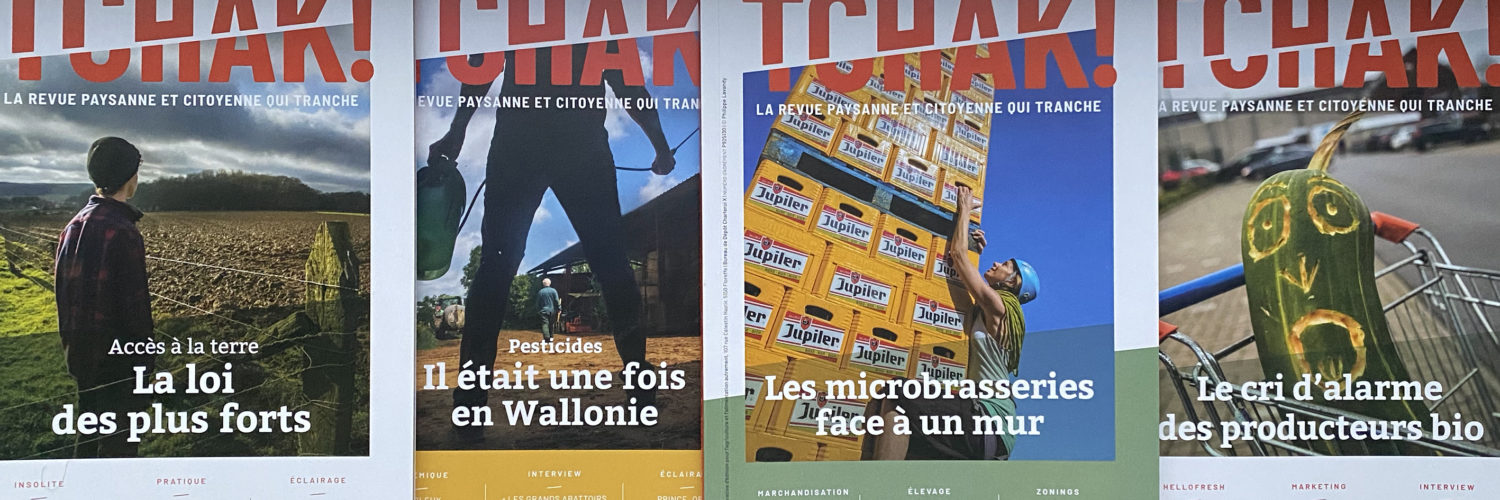 Comment aider Tchak! à construire le rez-de-chaussée