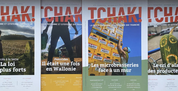 Comment aider Tchak! à construire le rez-de-chaussée