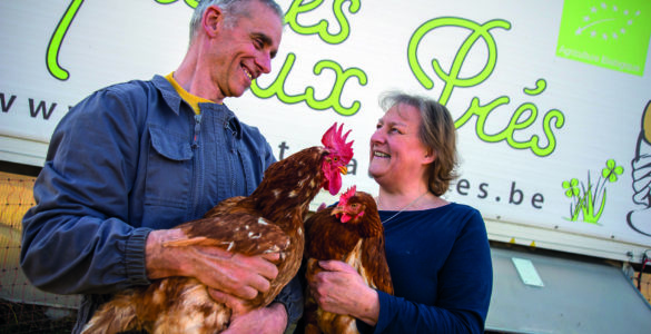 Depuis que Daniel Collienne et son épouse Suzanne Desmidt ont médiatisé leur acquisition de poulaillers mobiles, ils sont régulièrement contactés par des agriculteurs qui s’intéressent à ce système d’élevage.