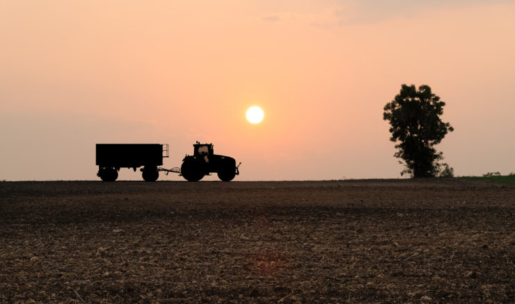 Relocalisation de l'alimentation: ça veut dire quoi ? © Philippe Lavandy