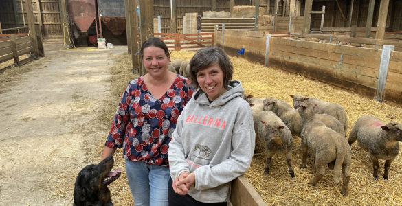 Ferme Schalenbourg filles