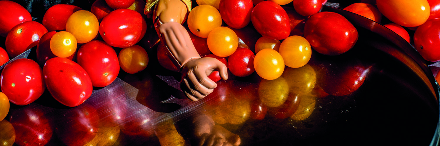 Den Berk Délice tomates