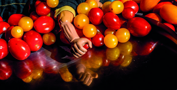 Den Berk Délice tomates