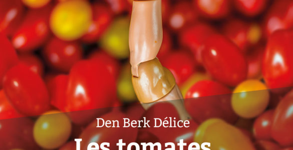 Den Berk Délice - tomates