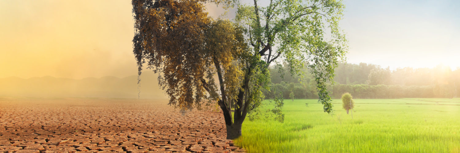 La rémunération carbone... Une piste pour favoriser la transition agricole et lutter contre le réchauffement climatique © Adobe Stock