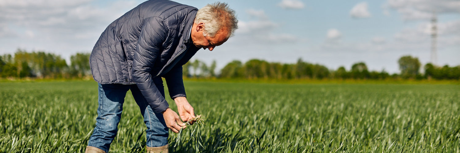 Farming4Climate - Etienne Allard, ferme de Warelles