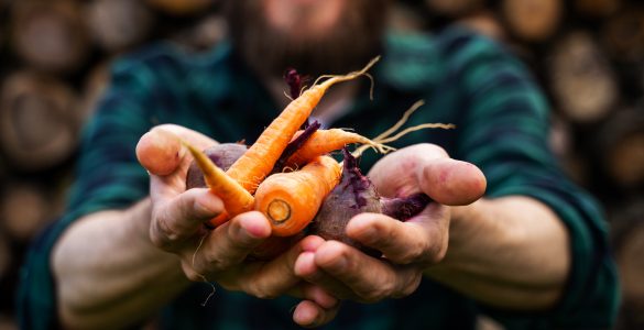 Certification cotisation semaine bio