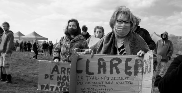 Clarebout, le géant de la frite surgelée