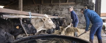 Sexisme: des agricultrices témoignent