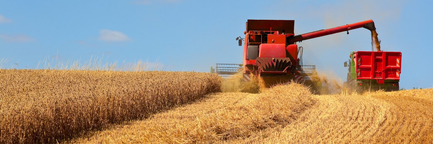 Stratégie De la ferme à la fourchette