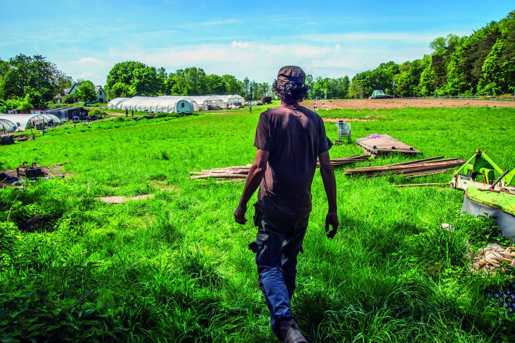 Agriculture sociale