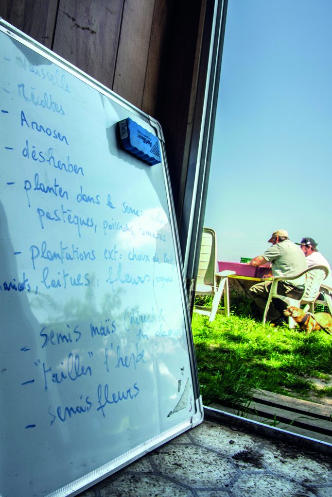 Agriculture sociale