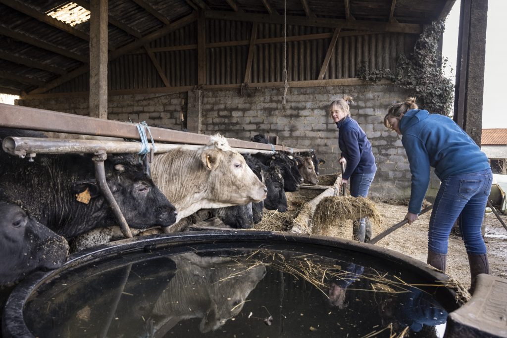Agriculture Sexisme Patronnes