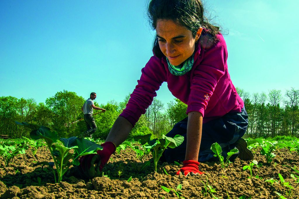 Agriculture sociale