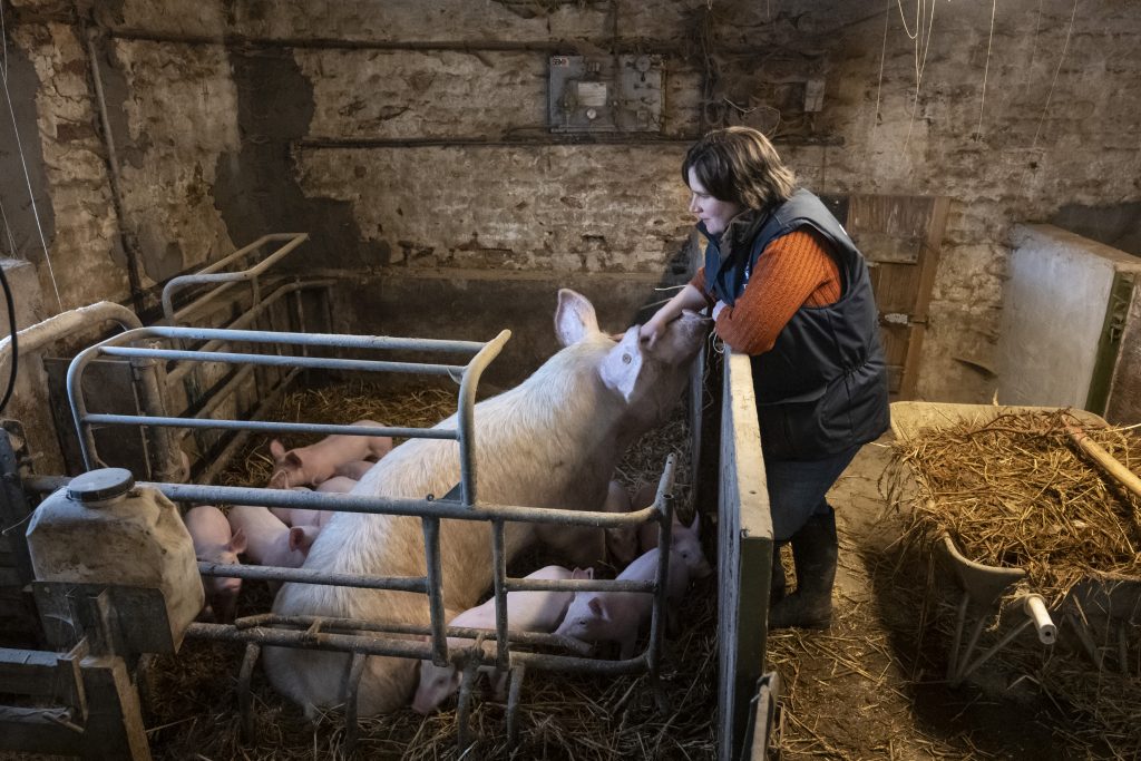 Agriculture Sexisme Patronnes
