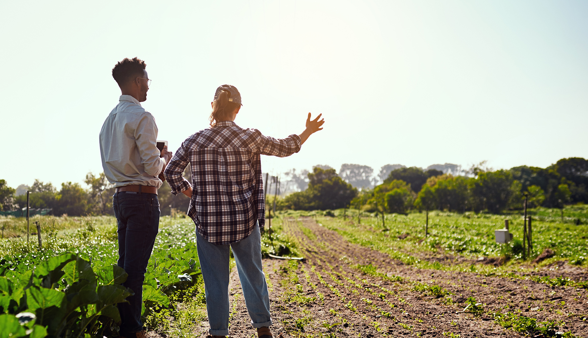 Agriculture bio HEPN