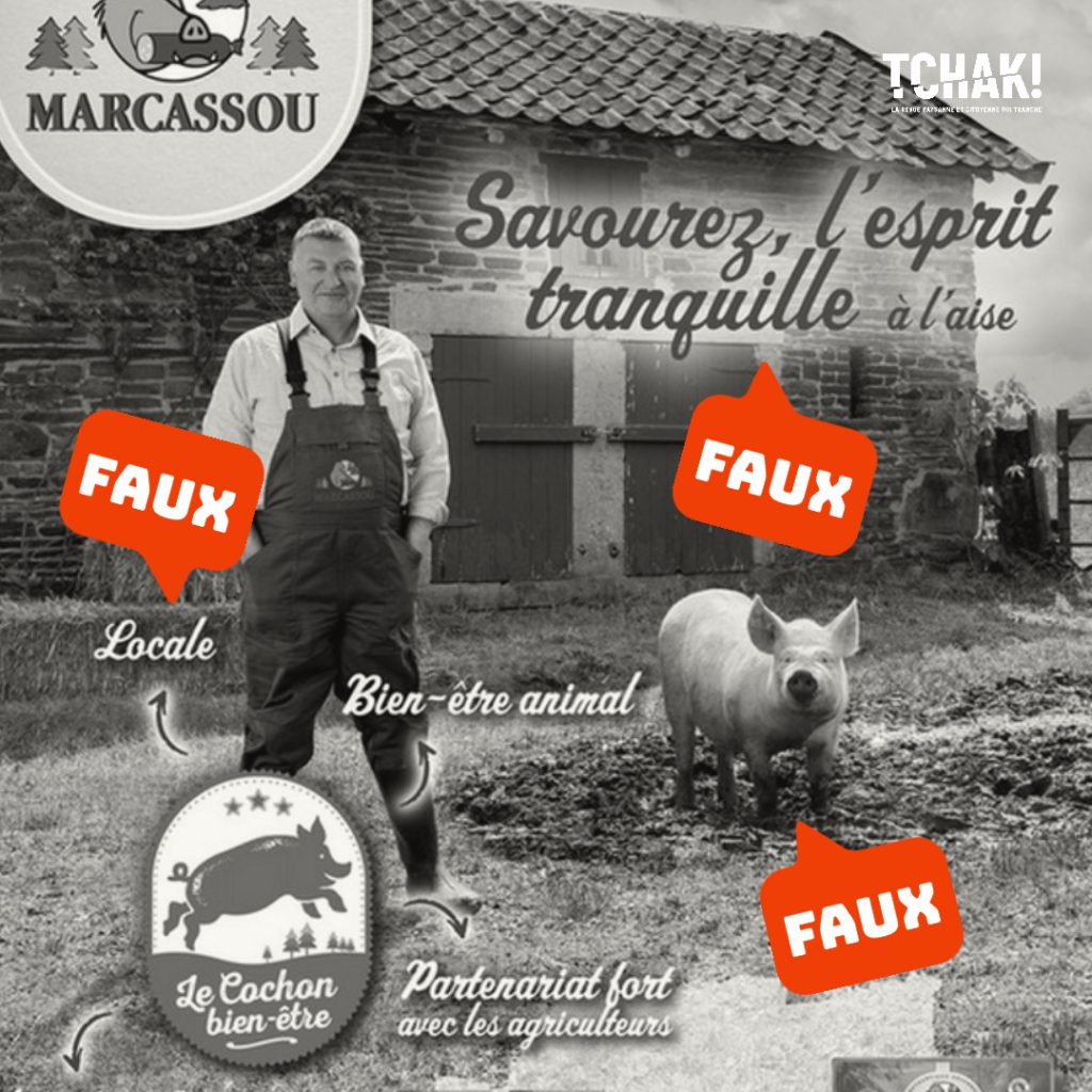 Marcassou