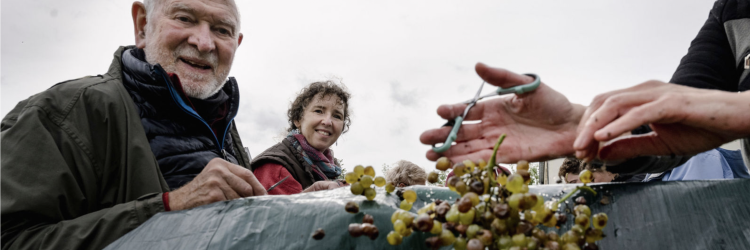 Vignobles wallons