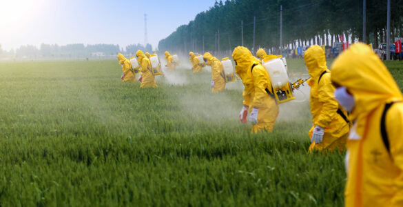 Pesticides interdits