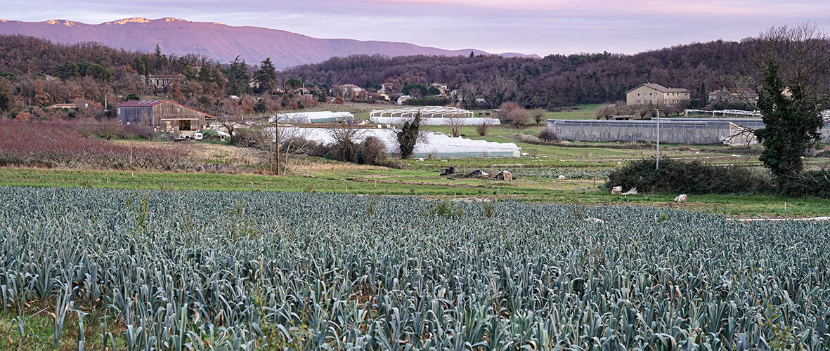 Ferme Volonteux