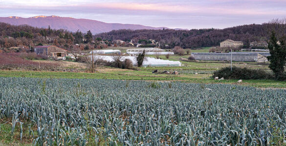 Ferme Volonteux