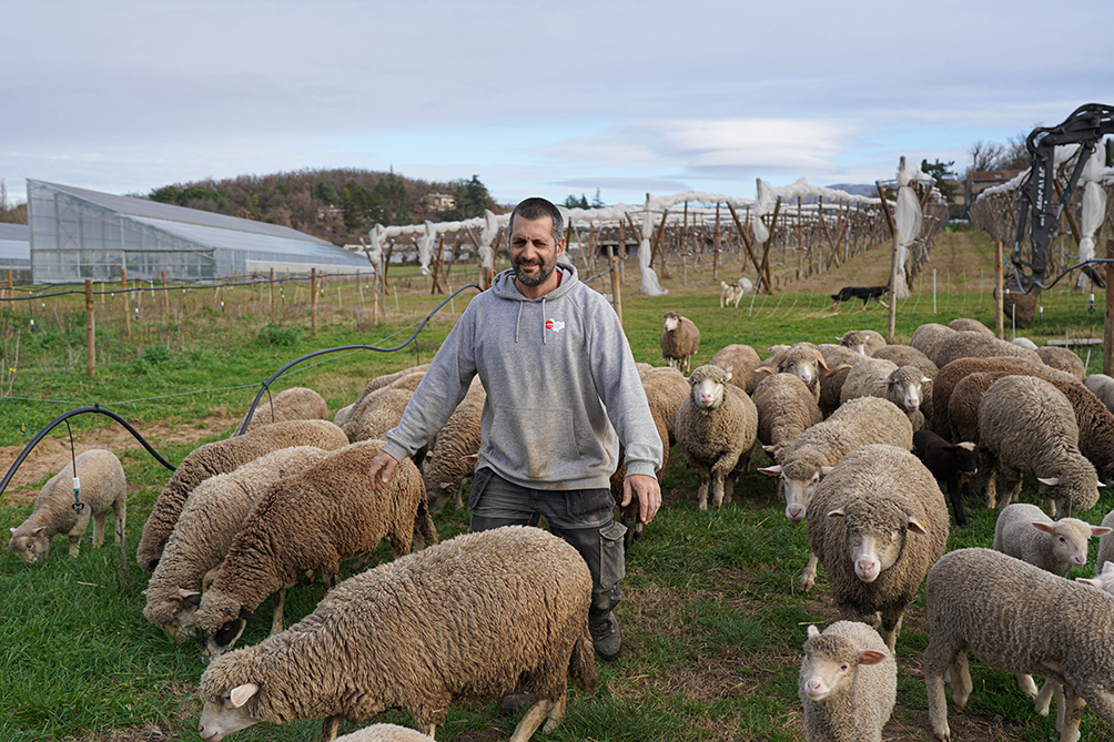 Ferme des Volonteux