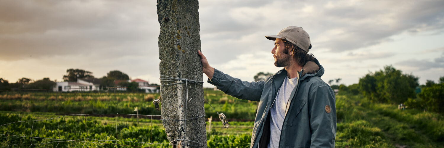 Terres agricoles
