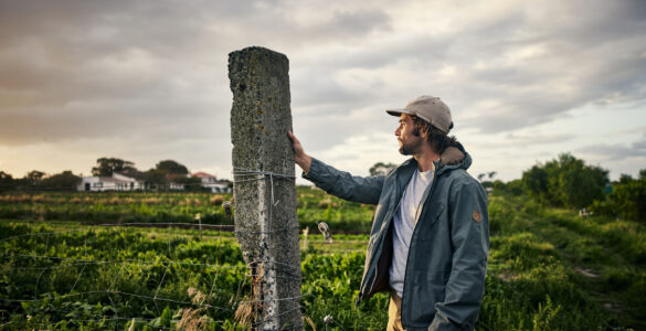 Terres agricoles