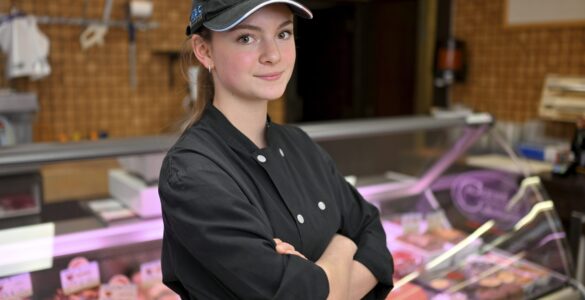 circuit court et formations