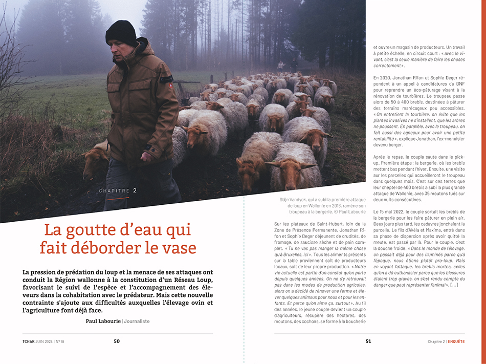 Wallonie Loup