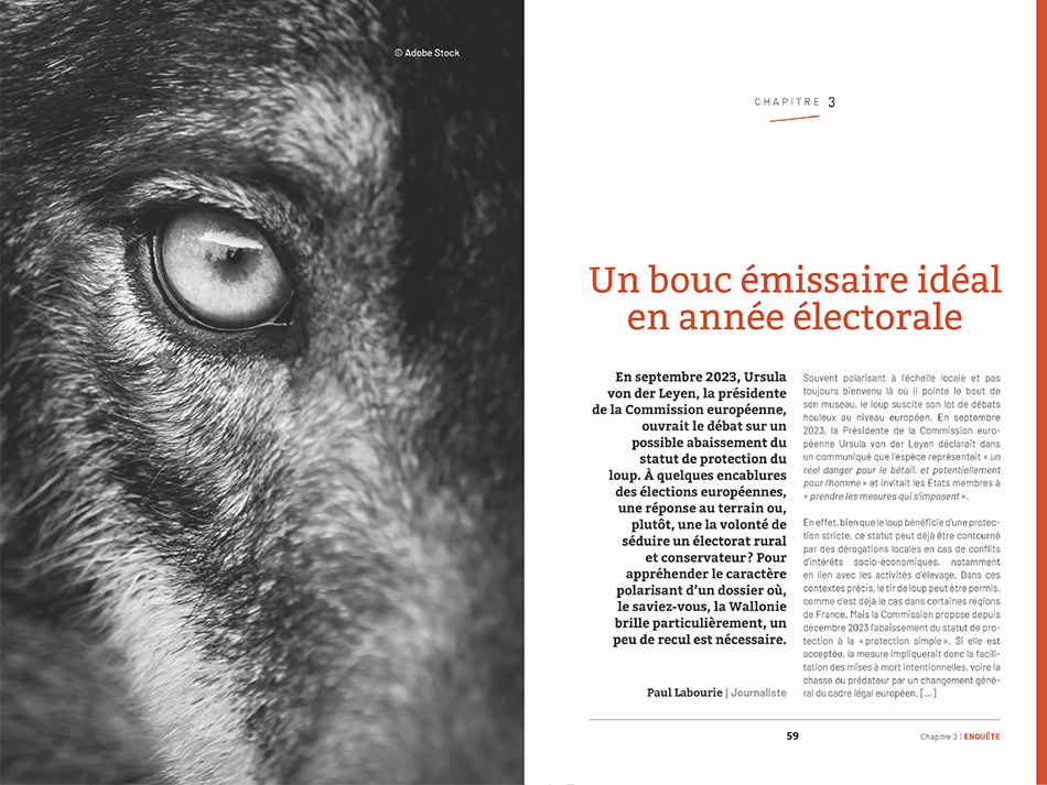 Wallonie Loup