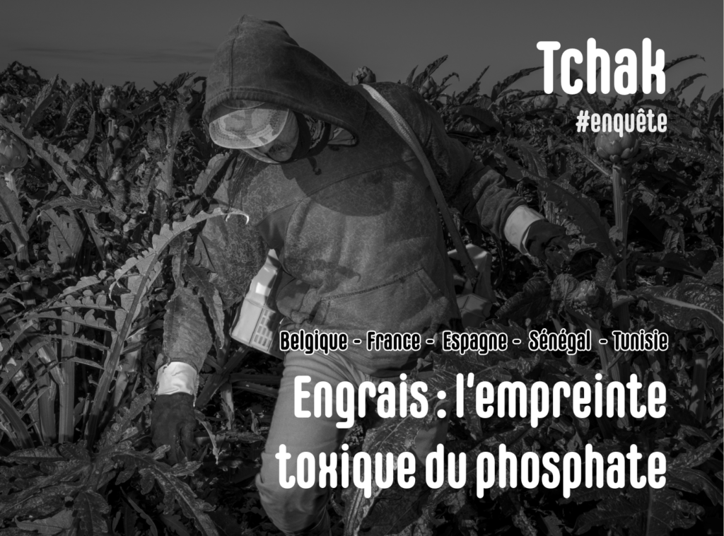 Engrais phosphatés