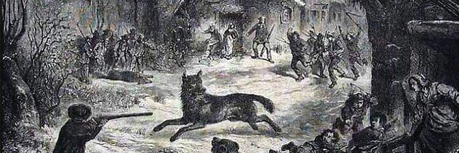 Loup Wallonie