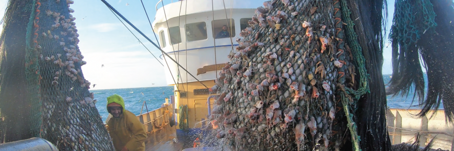 pêche mer nord