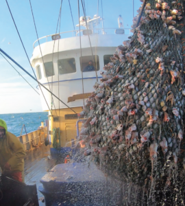 pêche mer nord