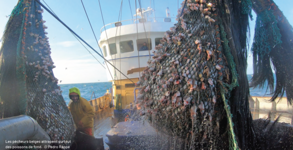pêche mer nord