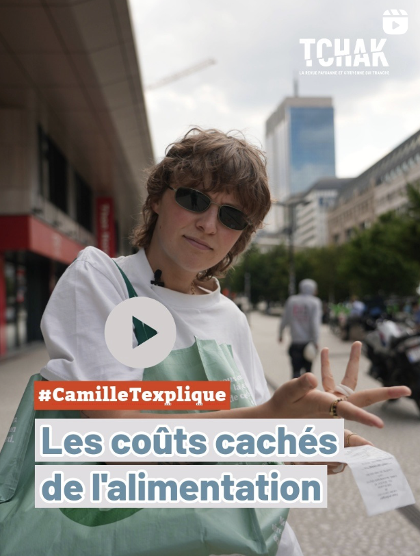 CamilleTexplique