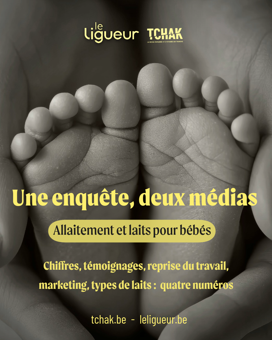 Lait Infantile